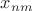 $x_{nm}$