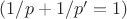$(1/p+1/p'=1)$