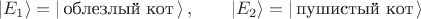 $$|E_1\rangle = |\,\text{облезлый кот} \, \rangle \, , \qquad |E_2\rangle = |\,\text{пушистый кот} \, \rangle $$