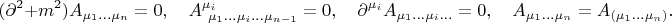 $$
(\partial^{2} + m^{2})A_{\mu_{1}...\mu_{n}} = 0, \quad A^{\mu_{i}}_{\ \mu_{1}...\mu_{i}...\mu_{n - 1}} = 0, \quad \partial^{\mu_{i}}A_{\mu_{1}...\mu_{i}...} = 0, \quad A_{\mu_{1}...\mu_{n}} = A_{(\mu_{1}...\mu_{n})}.
$$