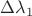 $\Delta \lambda_1$