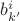$b^i_{k'} $