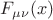 $F_{\mu\nu}(x)$
