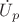 $\dot U_{p}$