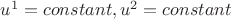$u^1 =  constant , u^2 =  constant  $