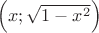 $\Big( x; \sqrt{1-x^2} \Big)$