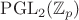 $\operatorname{PGL}_2(\mathbb{Z}_p)$