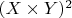 $(X \times Y)^2$
