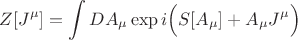 $$Z[J^\mu]=\int DA_\mu \exp i\Bigl(S[A_\mu]+A_\mu J^\mu\Bigr)$$