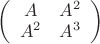 $\left( \begin{array}{cc} A&A^2\\A^2&A^3 \end{array}\right)$