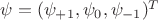 $\psi = (\psi_{+1},\psi_{0},\psi_{-1})^{T}$