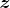 $\boldsymbol{z}$