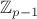$\mathbb{Z}_{p-1}$