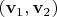 $(\mathbf v_1,\mathbf v_2)$