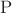 $\rm{P}$