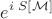 $$e^{i \; S[\mathcal{M}]}$$