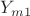 $Y_{m1}$