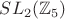 $SL_2(\mathbb{Z}_5)$