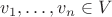 $v_1,\ldots, v_n\in V$