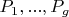 $P_1, ..., P_g$