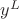 $y^L$
