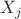 $X_{j}$