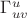 $\Gamma^u_{uv}$