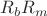 $R_b R_m$