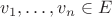 $v_1,\ldots, v_n\in E$