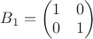 $B_1=\begin{pmatrix} 1 & 0 \\ 0 & 1 \end{pmatrix}$