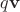 $q\mathbf{v}$