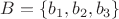 $B=\{b_1,b_2,b_3\}$