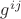 $ g^{ij}$