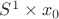 $S^{1}\times{x_{0}}$ $S^{1}\times{x_{0}}$