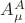 $A^A_\mu$