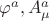 $\varphi^a, A_\mu^a$ $\varphi^a, A_\mu^a$