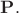 $\mathbf{P}.$