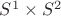 $S^1\times S^2$
