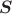\space \boldsymbol{S} \space