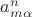$a_{m\alpha}^{n}$ $a_{m\alpha}^{n}$