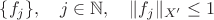 $\{f_j\},\quad j\in\mathbb{N},\quad \|f_j\|_{X'}\le1$