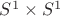 $S^1 \times S^1$