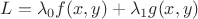 $L=\lambda_0f(x,y)+\lambda_1g(x,y)$
