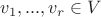 $v_1,...,v_r\in V$