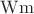 $\operatorname{Wm}$