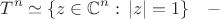 $$
T^{n}\simeq\{z\in\mathbb{C}^n:\,|z|=1\}\quad-
$$