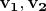 $\mathbf{v_1, v_2$}