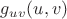 $g_{uv}(u,v)$