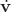 $\dot{\mathbf{v}}$
