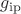 $g_{\operatorname{ip}}$ $g_{\operatorname{ip}}$